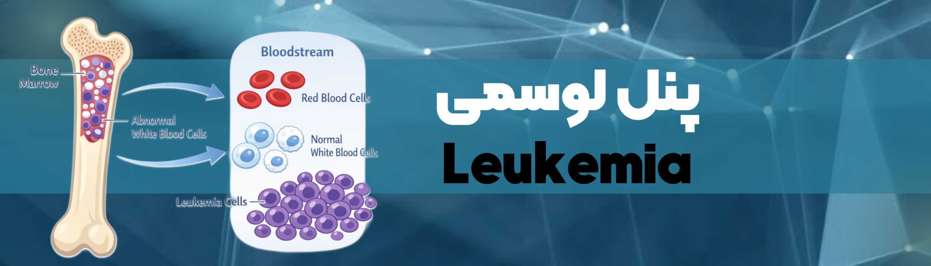 بنر